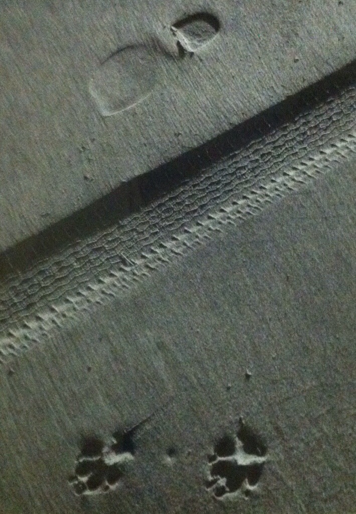 20140802-100302-36182841.jpg